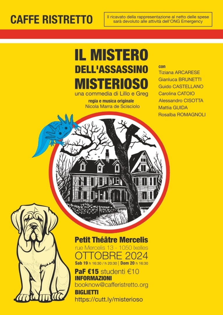 Il Mistero dell'assassino Misterioso flyer